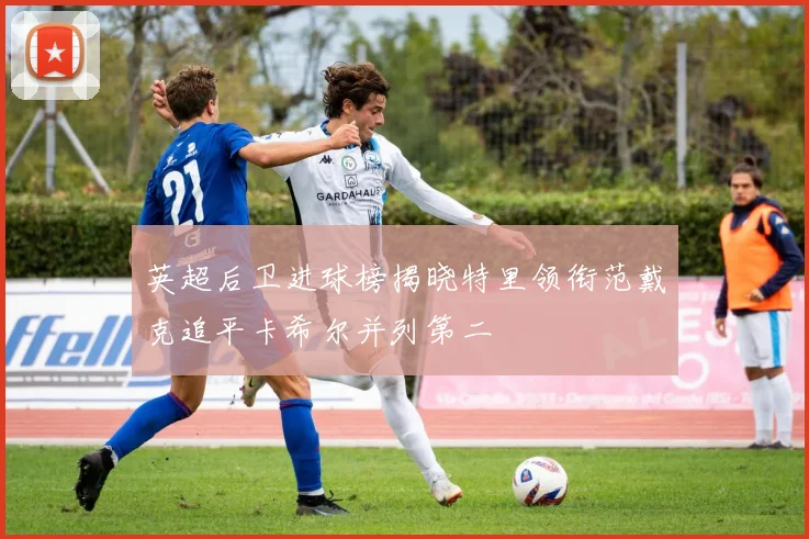 英超后卫进球榜揭晓特里领衔范戴克追平卡希尔并列第二