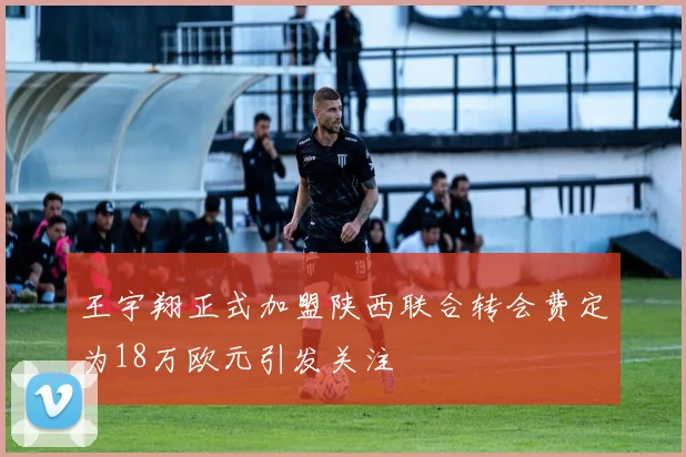 王宇翔正式加盟陕西联合转会费定为18万欧元引发关注