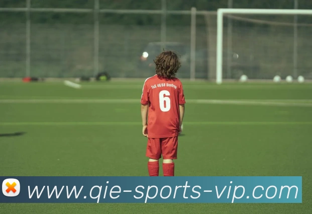 企鹅体育平台生态图