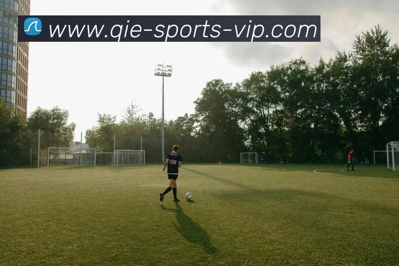 企鹅体育APP 封面图